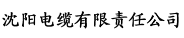 91抖音成人轻量版电缆厂logo